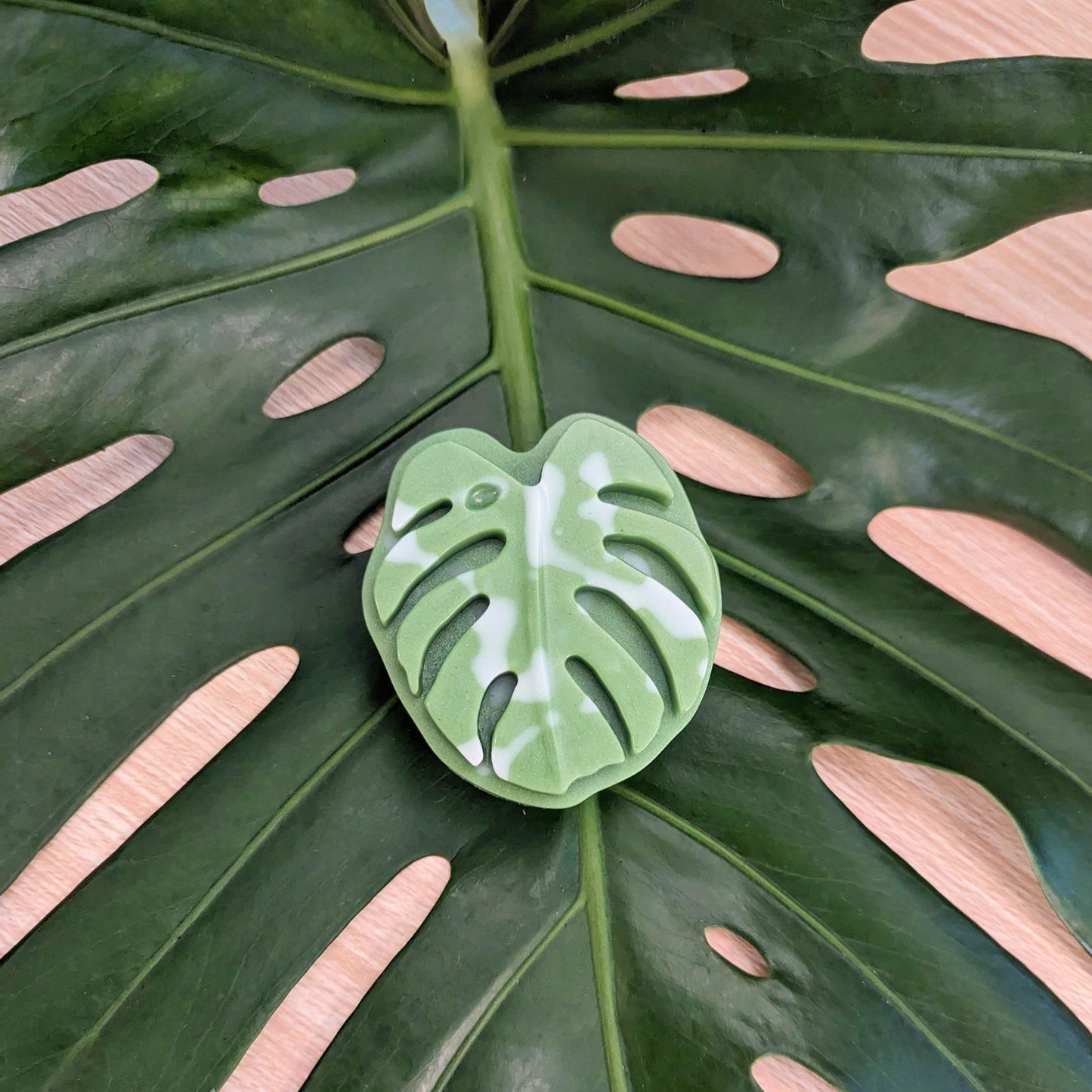 Monstera Leaf - Mainland Vintage
