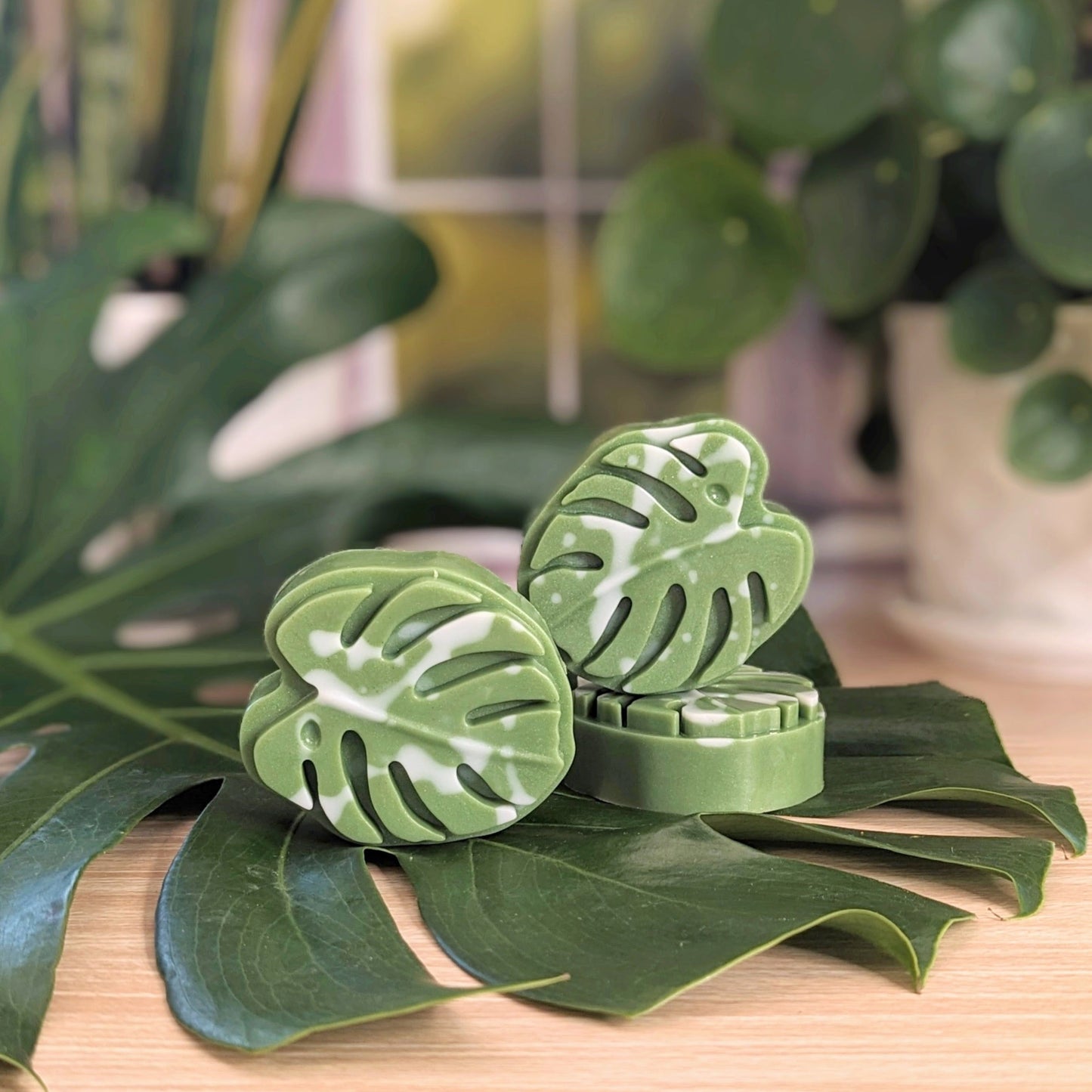 Monstera Leaf - Mainland Vintage