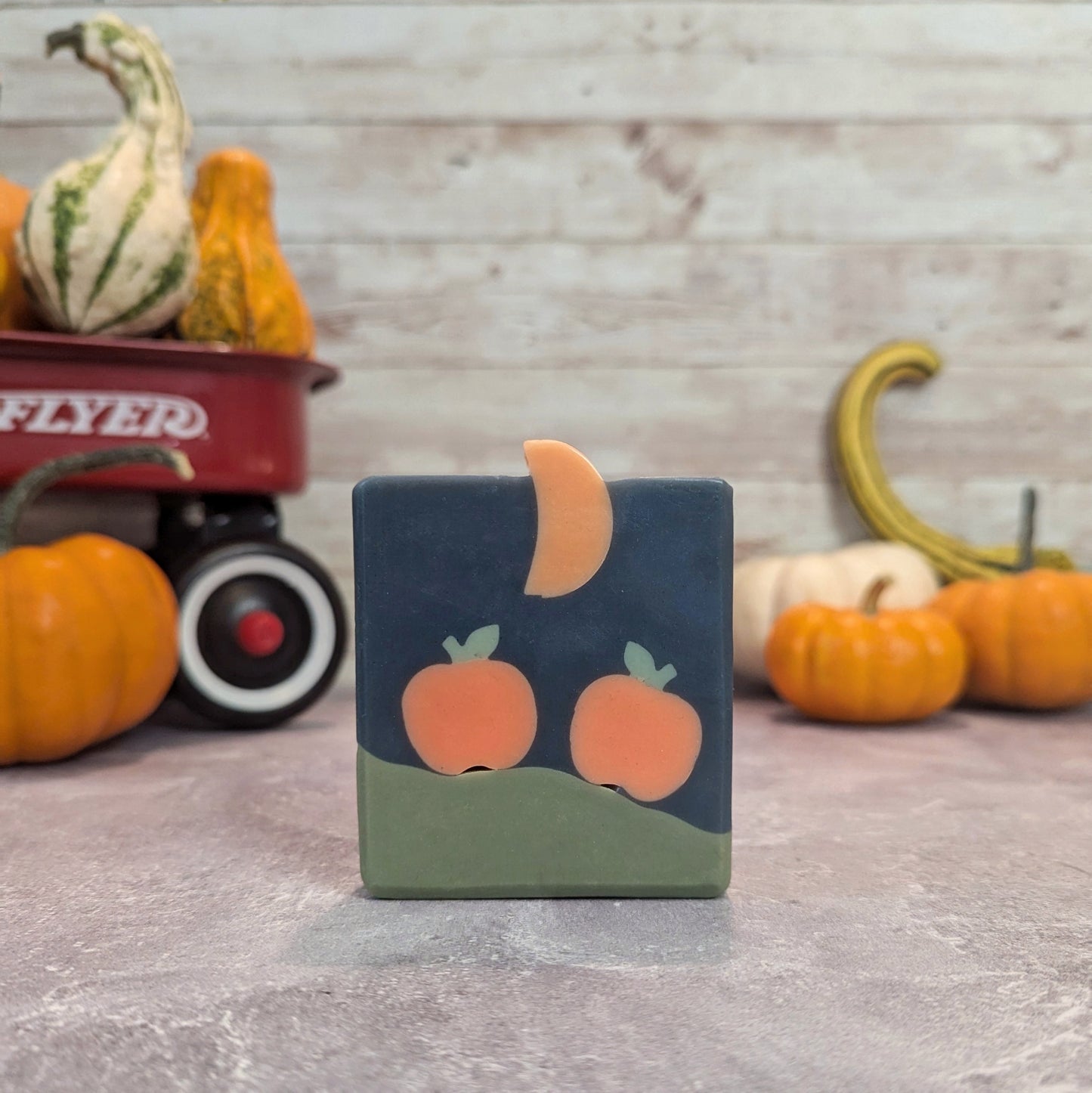 Pumpkin Patch