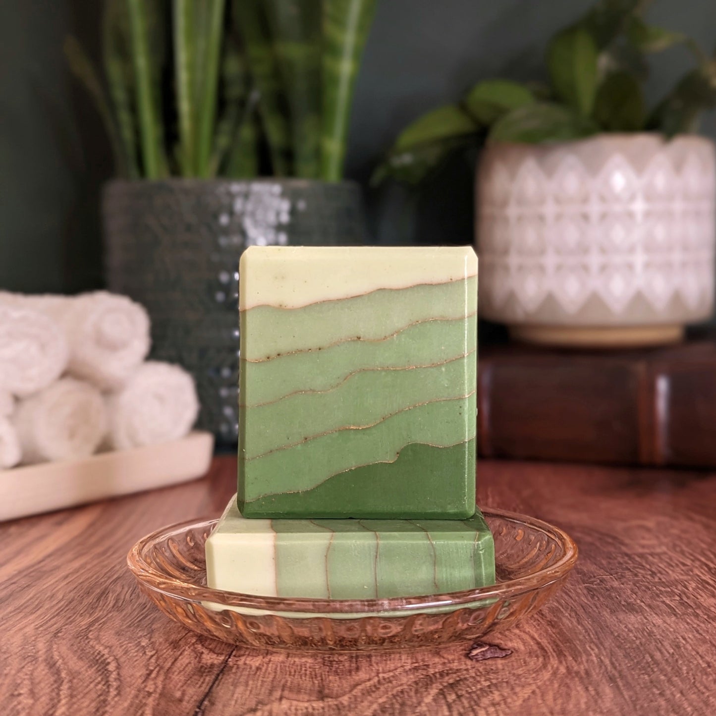 North Cascades - Mainland Vintage