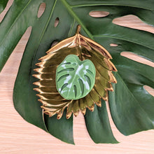 Load image into Gallery viewer, Monstera Leaf - Mainland Vintage
