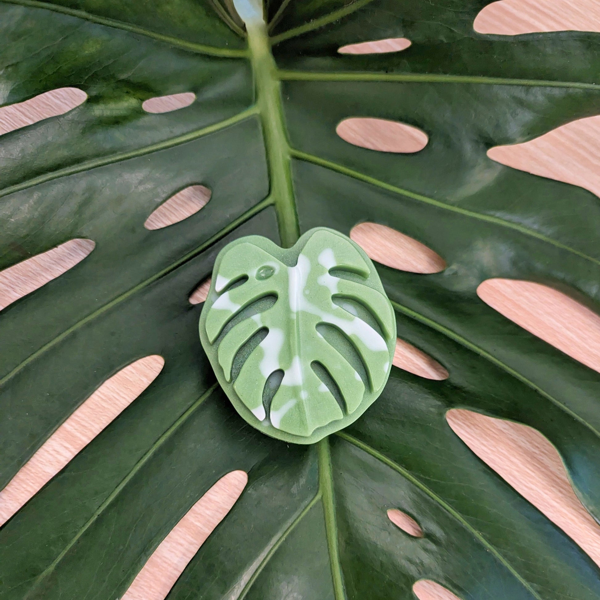 monstera plant aesthetic Monstera Leaf – Mainland Vintage LLC